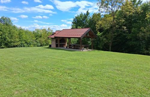 Cvetkovic Ski Chalet | Bakina iža