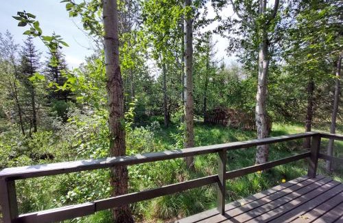 Hauganes Apartment | Bakkakot 3 Cozy Cabin In The Woods