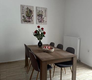 Trikala Apartment | Bakopoulos resort Ένα όμορφο διαμέρισμα με βεράντα
