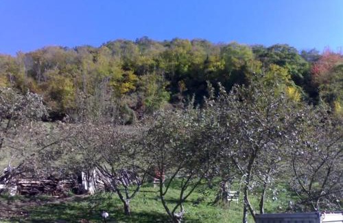 Aller House | Baldevenero