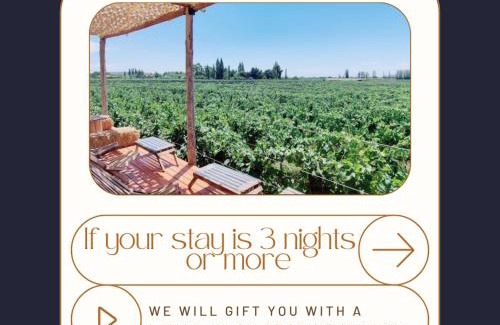 Lujan de Cuyo Cabin | Bali Andino, Lodge boutique en el corazón de ruta del vino, vilas privadas con vistas a la cordillera, piscina tipo playa