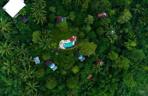 Pupuan Resort | Bali Jungle Camping by Amerta Experience