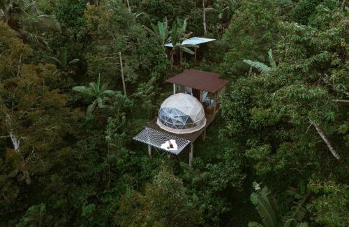 Pupuan Resort | Bali Jungle Camping by Amerta Experience