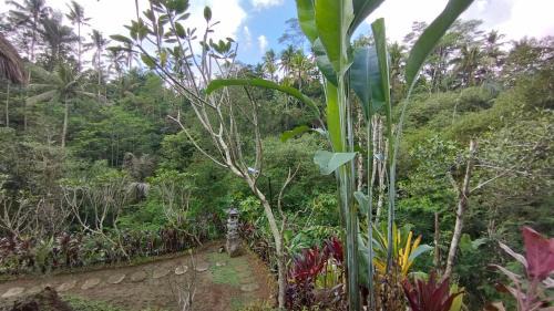 Sebatu House | Bali Jungle Taksu