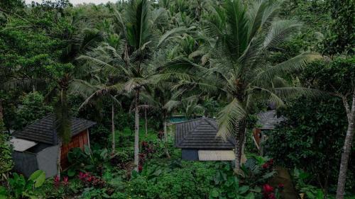 East Selemadeg Cabin | Bali Secret Jungle