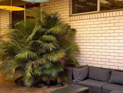 Robertson Villa | Bali Style Designer's House in Central location