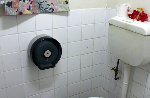 Wailoloa Hostel | Bamboo Backpackers