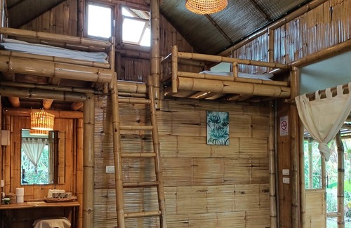 Surin Other | Bamboo Conservation Farm