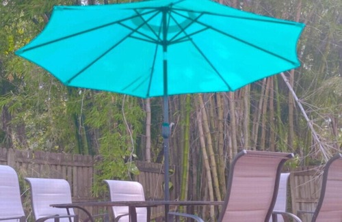 Sarasota Springs House | Bamboo house
