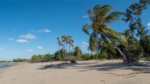 East Sumba Apartment | Bamboo Paradise Retreat - East Sumba