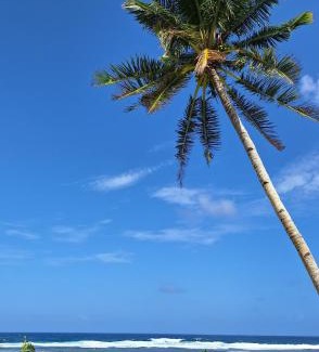 San Isidro Hotel | Bamboo Surf Beach