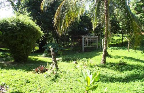 Isla Solarte Hostel | Bambuda Lodge