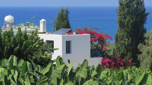 Kissonerga Villa | Banana Sunset Villas