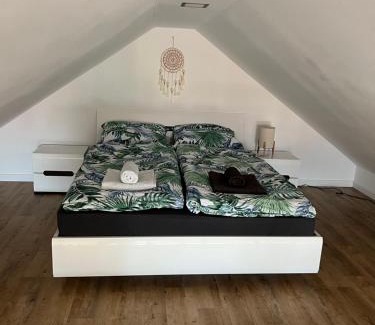 Mysliborz House | BananaHouse