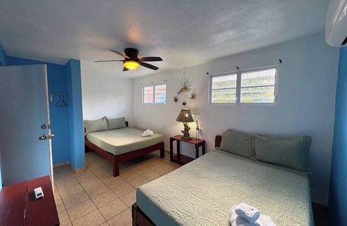 Esperanza Resort | Bananas Vieques Guesthouse Room 8/Vibrant Area/Private/Steps to the beach