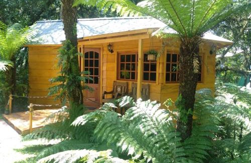 C A I C House | Bangalô do Xaxim