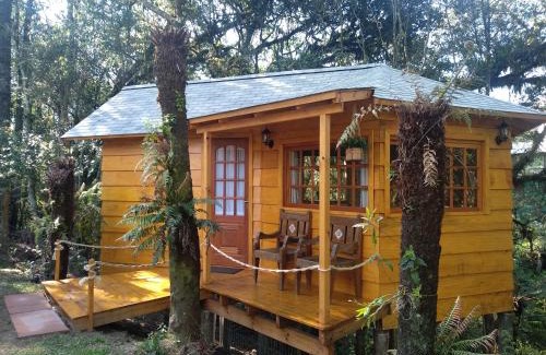 C A I C House | Bangalô do Xaxim