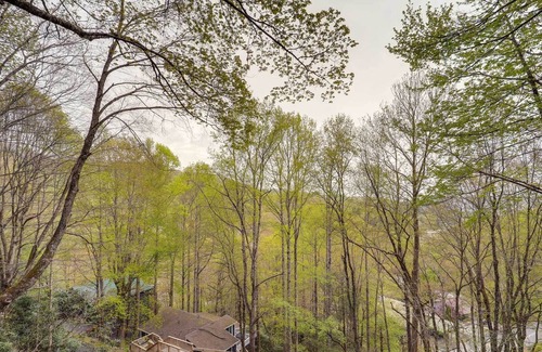 Mill Ridge Cabin | Banner Elk Cabin w/ Fire Pit: Pets Welcome