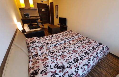 Shiligarnika Apartment | Bansko lodge 500m from ski lift
