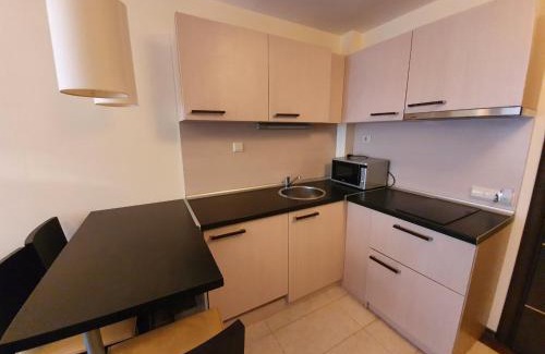 Shiligarnika Apartment | Bansko lodge 500m from ski lift