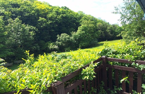 Saint Gennys Cottage | Bantry Cottage, Bude Holidays in Crackington Haven