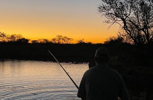 Alldays Bed & Breakfast | BAOBAB ESTATE ALLDAYS
