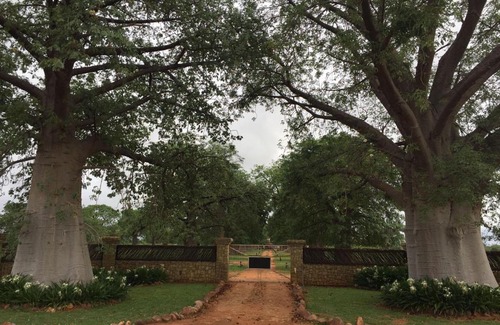 Lephalale Bed & Breakfast | Baobab Lane Lodge