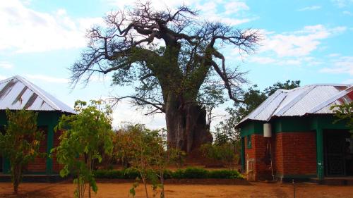 Mfuwe Cabin | Baobob Safari Lodge