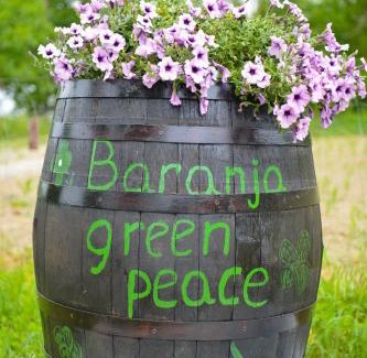 Draz Apartment | Baranja green peace