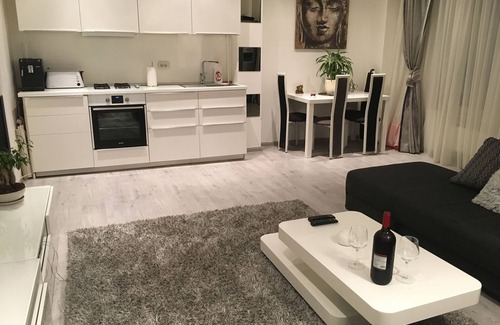 Aviatiei Apartment | BARBEQUE AND TERRACE In North Area of Bucharest.