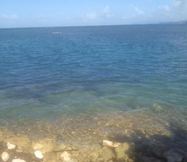 Sandy Bay Bed & Breakfast | Barbican Beach Front