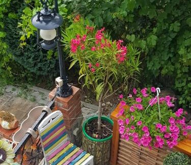 Baile Herculane House | Barbu Ionel