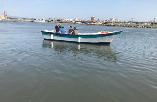 Aveiro Boat Rental | Barcos Casa OstrAveiro