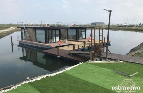 Aveiro Boat Rental | Barcos Casa OstrAveiro