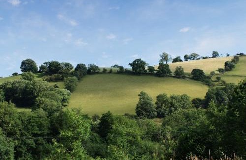 Pennant Melangell House | Barcud Coch - Uk44539