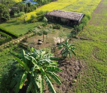 Bardia House | Bardiya Eco Safary Homestay