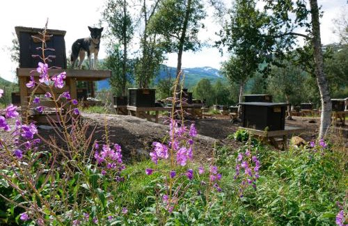 Bardu Ski Chalet | Bardu Huskylodge