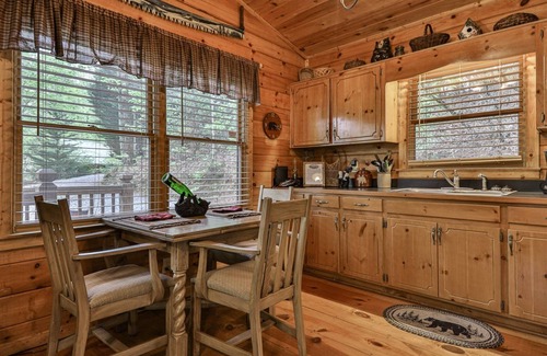 Blue Ridge Cabin | Bare Bear | Cherry Log, Ga