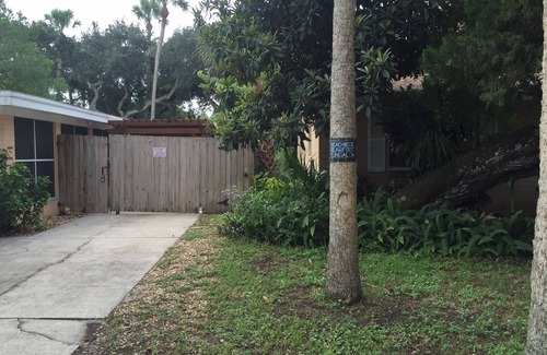 New Smyrna Beach House | Barefoot Beach Bungalow! Walk to beach, river, intercoastal, and Flagler Ave.