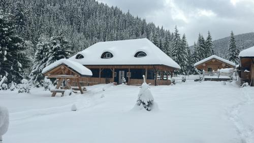 Bilbor House | Barlogul Ursului Bilbor