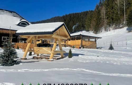 Bilbor House | Barlogul Ursului Bilbor