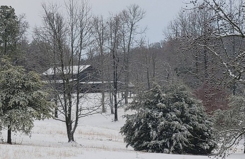 Tennga House | Barn at Frog Hollow, 2 bedroom ground floor unit. Great Mountain Views!