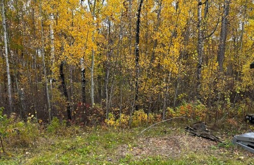 Parkland County Cabin | BARN OWL CABIN "Owl are Welcome" Rest and Relax in this Beautiful Log Home