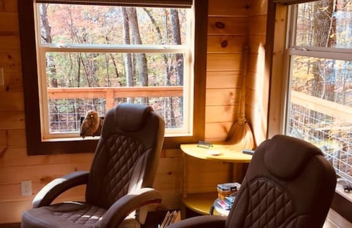 Guild Cabin | BARN OWL INN · NO SUNDAY CHECK INS , HOTTUB- TREEHOUSE