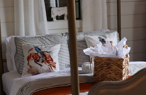 Floyd Dale House | Barn Venue apartment with kids games, fire pits, and animal feeding.