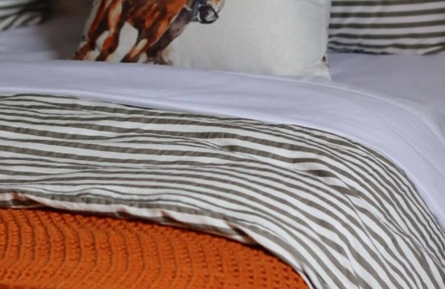 Floyd Dale House | Barn Venue apartment with kids games, fire pits, and animal feeding.