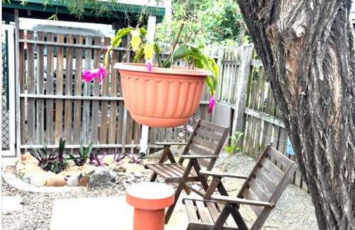 Barney Point Cottage | Barney Point Gem Space, Privacy & Perfect Location Walk to Beach, Cafes and Pub