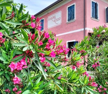 Canizzano Bed & Breakfast | Barone Rosso