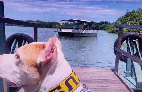 Barra da Tijuca RV Rental | Barra Sul Condominium - Barra da Tijuca RJ