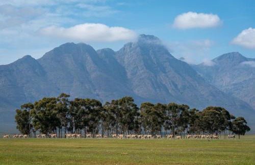 Hermon House | Bartholomeus Klip Farmhouse